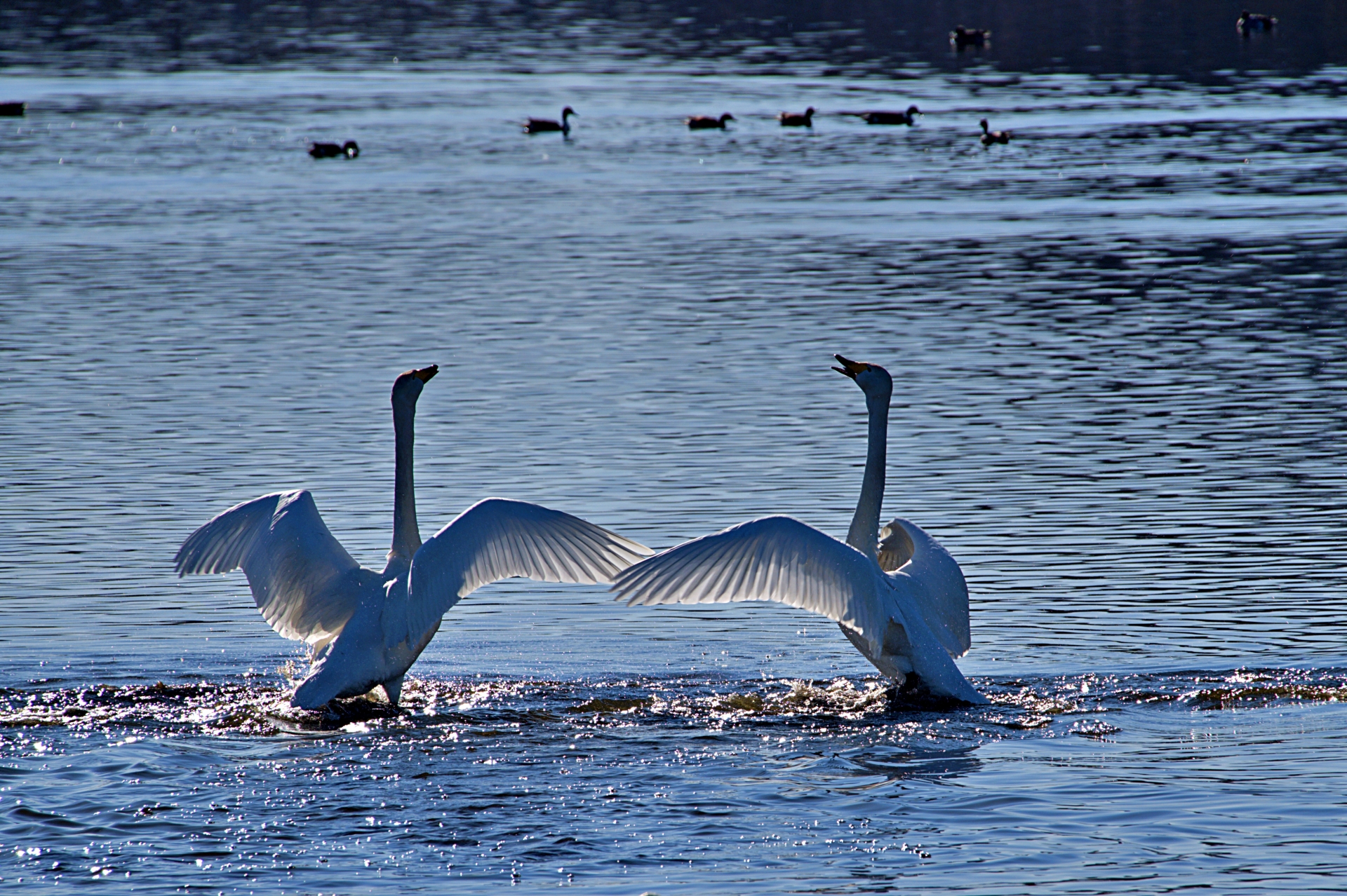 群馬県邑楽郡の画像